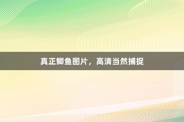 真正鲫鱼图片，高清当然捕捉